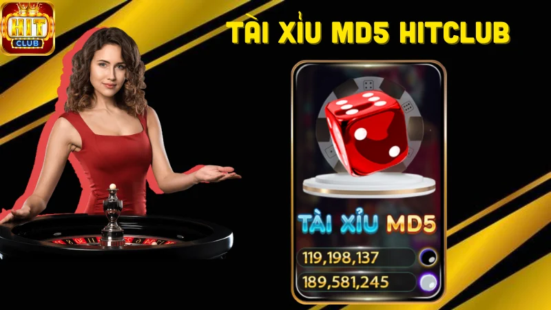 Luật đánh tài xỉu md5 Hitclub